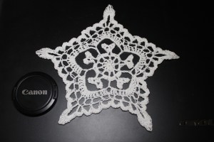 Five Point Century Snowflake